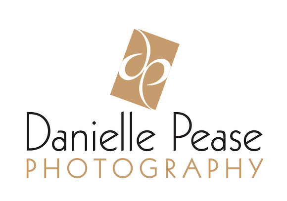 DP_Logo_landscape_onLight