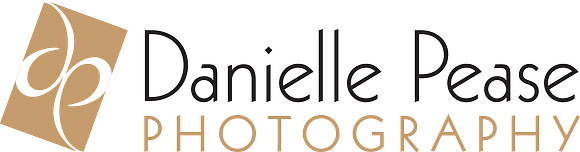 DP_Logo_landscape_w-symbol