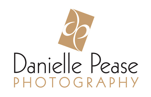 DP_Logo_landscape_onLight2
